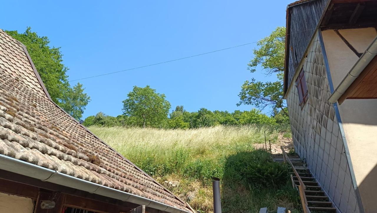 Studio A Murbach Au Calme Eksteriør bilde